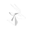 CryptoMinute.ai Logo